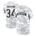 C.Bears #34 Walter Payton Player Arctic Camo Salute to Service Performance T-Shirt Limited Jdoa Stitched Jerseys