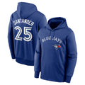 T.Blue Jays #25 Anthony Santander Player Royal Performance Pullover Hoodie Jdoa Stitched Jerseys