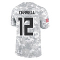 Jdoa A.Falcons #12 Avieon Terrell Player Arctic Camo Salute to Service Limited Stitched Jerseys