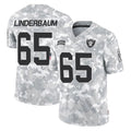 Jdoa LV.Raiders #65 Tyler Linderbaum Player Arctic Camo Salute To Service Limited Game Stitched Jerseys