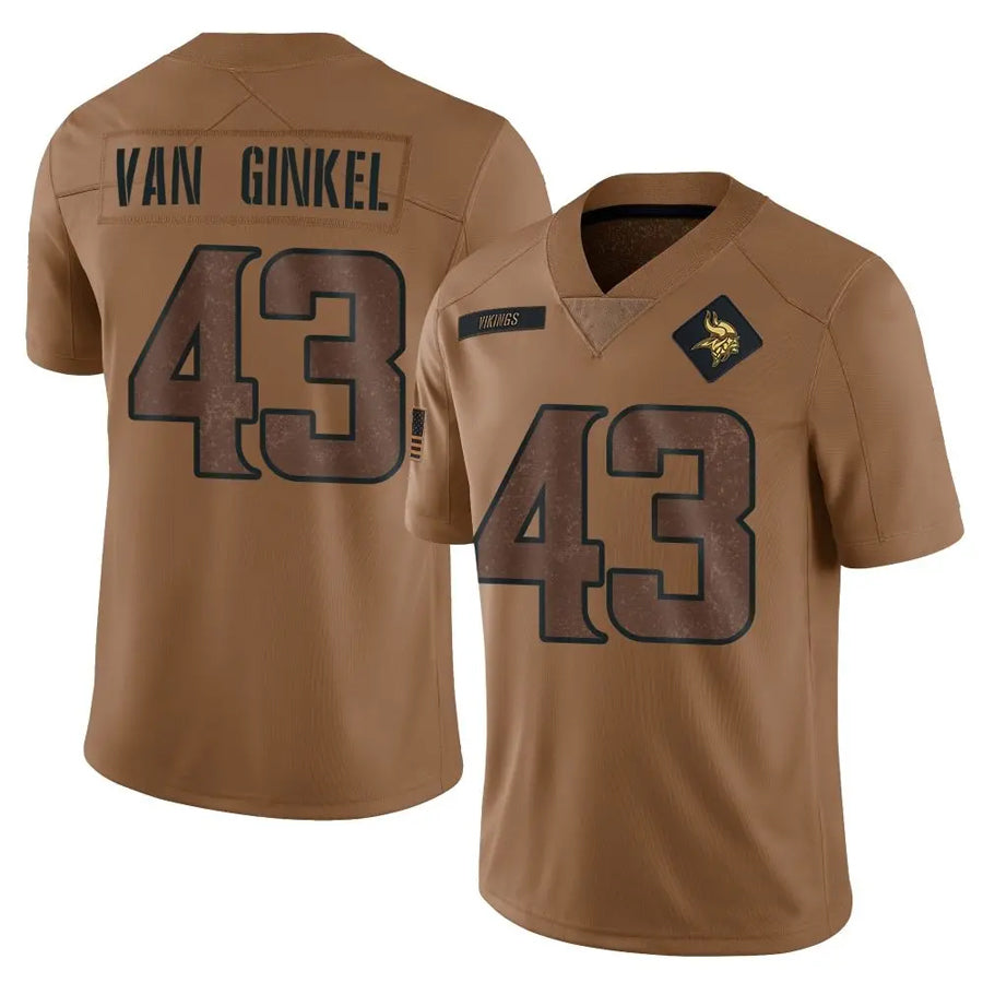 Jdoa MN.Vikings #43 Andrew Van Ginkel Player Brown Salute To Service Limited Stitched Jerseys